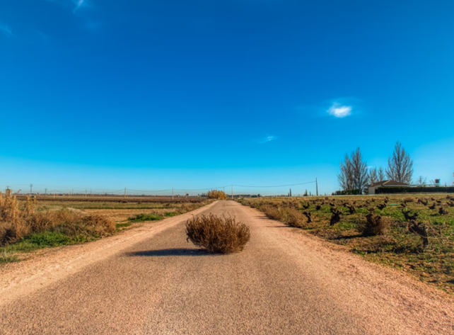 tumbleweed